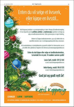 stjordalsnytt-20181221_000_00_00_089.pdf