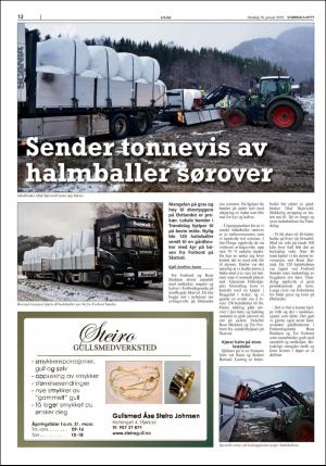 stjordalsnytt-20190116_000_00_00_012.pdf