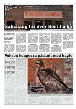 stjordalsnytt-20190123_000_00_00_018.pdf