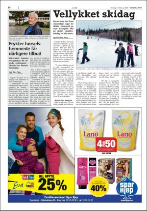 stjordalsnytt-20190213_000_00_00_014.pdf