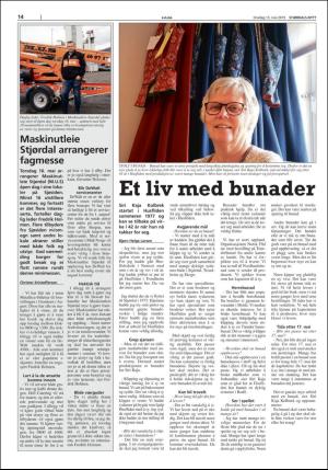 stjordalsnytt-20190515_000_00_00_014.pdf