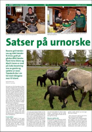 stjordalsnytt-20190515_000_00_00_042.pdf