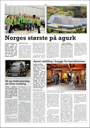 stjordalsnytt-20190529_000_00_00_014.pdf