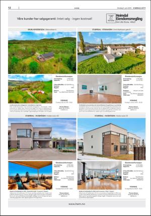 stjordalsnytt-20190605_000_00_00_012.pdf
