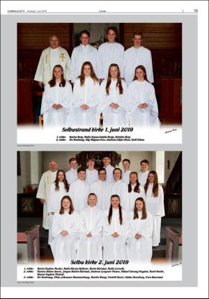 stjordalsnytt-20190605_000_00_00_015.pdf