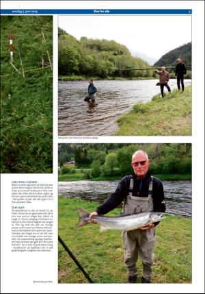 stjordalsnytt-20190605_000_00_00_061.pdf