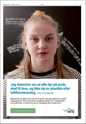 stjordalsnytt-20190613_000_00_00_005.pdf