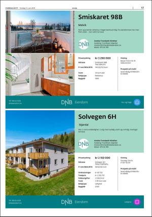 stjordalsnytt-20190613_000_00_00_017.pdf