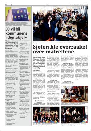 stjordalsnytt-20190613_000_00_00_030.pdf