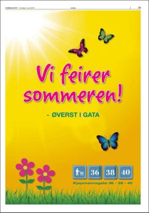 stjordalsnytt-20190613_000_00_00_031.pdf