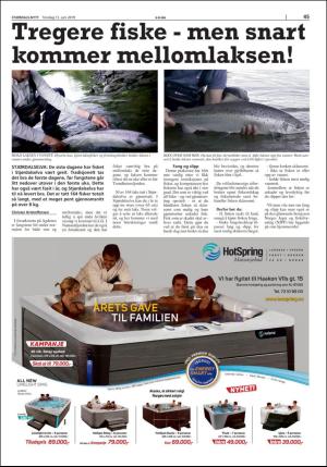 stjordalsnytt-20190613_000_00_00_045.pdf