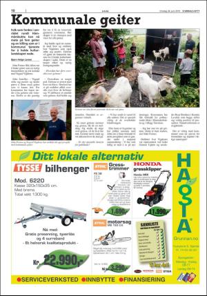 stjordalsnytt-20190626_000_00_00_010.pdf