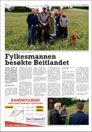 stjordalsnytt-20190710_000_00_00_012.pdf