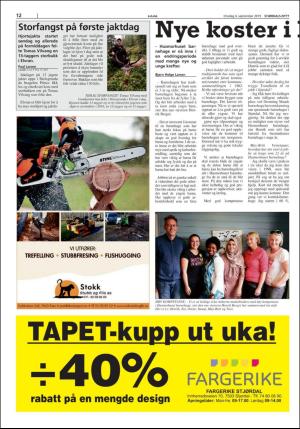 stjordalsnytt-20190903_000_00_00_012.pdf