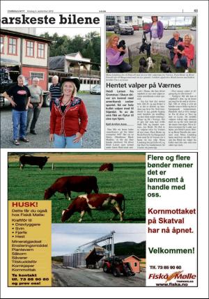 stjordalsnytt-20190903_000_00_00_043.pdf