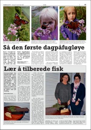 stjordalsnytt-20190917_000_00_00_045.pdf