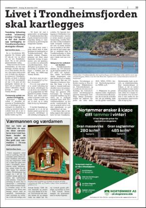 stjordalsnytt-20191217_000_00_00_033.pdf