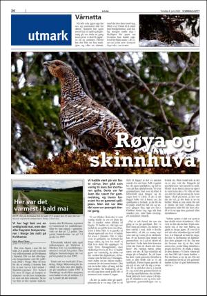 stjordalsnytt-20200603_000_00_00_034.pdf