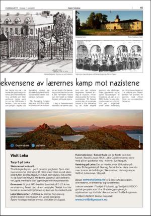 stjordalsnytt-20200616_000_00_00_045.pdf