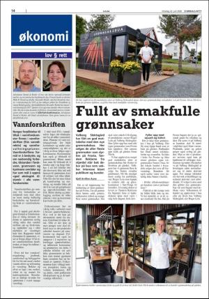 stjordalsnytt-20200721_000_00_00_014.pdf