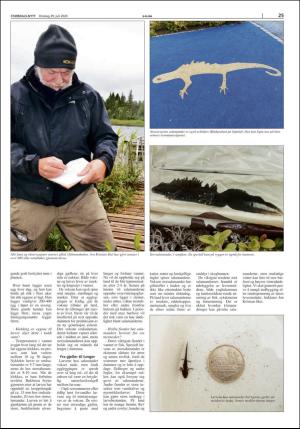 stjordalsnytt-20200729_000_00_00_025.pdf