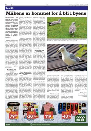 stjordalsnytt-20200805_000_00_00_012.pdf
