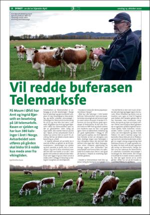 stjordalsnytt-20201014_000_00_00_038.pdf