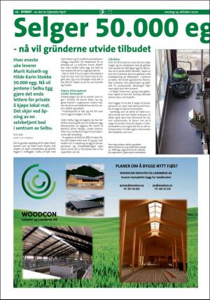 stjordalsnytt-20201014_000_00_00_046.pdf