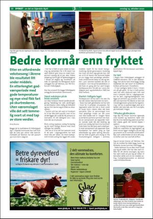 stjordalsnytt-20201014_000_00_00_050.pdf