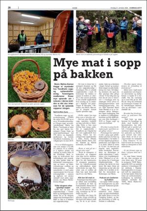 stjordalsnytt-20201021_000_00_00_028.pdf