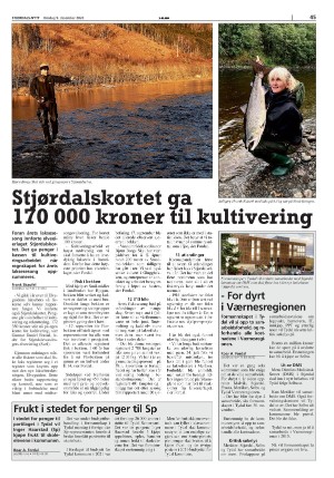 stjordalsnytt-20201209_000_00_00_045.pdf