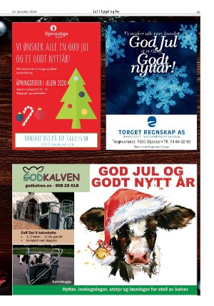 stjordalsnytt-20201223_000_00_00_085.pdf