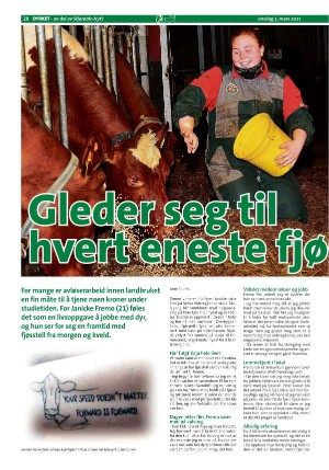 stjordalsnytt-20210303_000_00_00_028.pdf