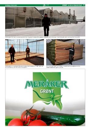 stjordalsnytt-20210303_000_00_00_031.pdf