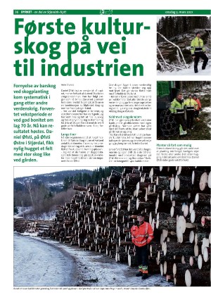 stjordalsnytt-20210303_000_00_00_036.pdf