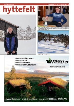 stjordalsnytt-20210317_000_00_00_023.pdf