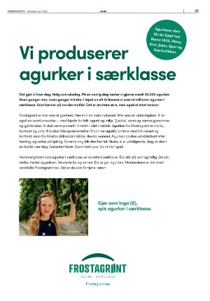 stjordalsnytt-20210408_000_00_00_025.pdf