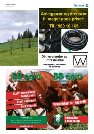 stjordalsnytt-20250604_000_00_00_031.pdf