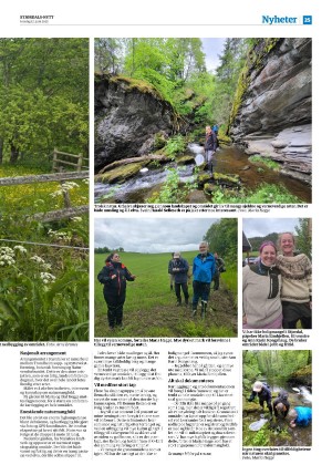 stjordalsnytt-20250612_000_00_00_025.pdf
