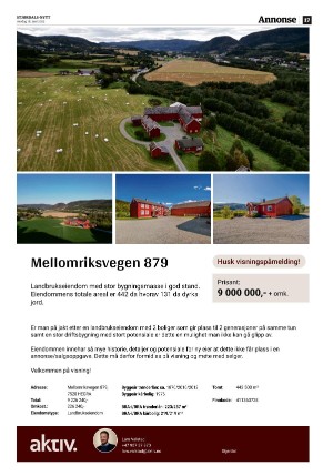 stjordalsnytt-20250618_000_00_00_017.pdf