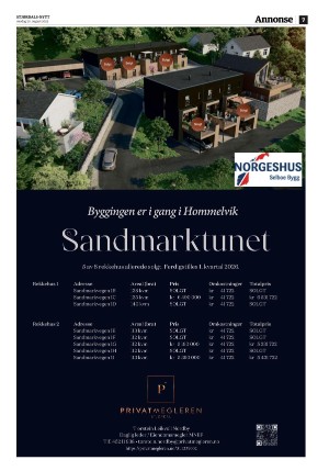 stjordalsnytt-20250820_000_00_00_007.pdf