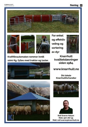 stjordalsnytt-20251119_000_00_00_017.pdf