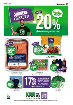 stjordalsnytt-20260114_000_00_00_005.pdf