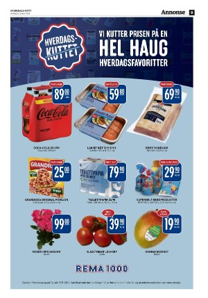 stjordalsnytt-20260121_000_00_00_009.pdf