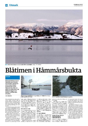 stjordalsnytt-20260128_000_00_00_044.pdf