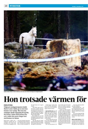 strengnastidning-20211111_000_00_00_020.pdf