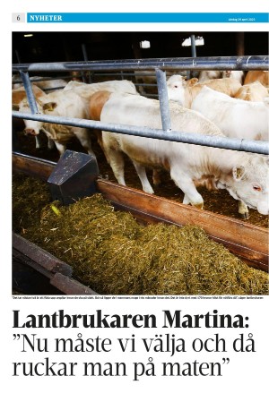 strengnastidning-20230429_000_00_00_006.pdf