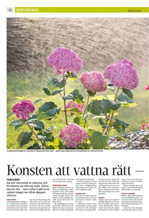 strengnastidning-20230722_000_00_00_018.pdf