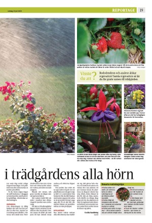 strengnastidning-20230722_000_00_00_019.pdf