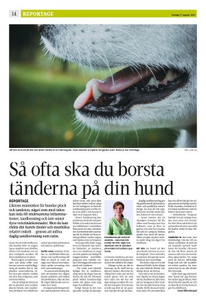 strengnastidning-20230817_000_00_00_014.pdf